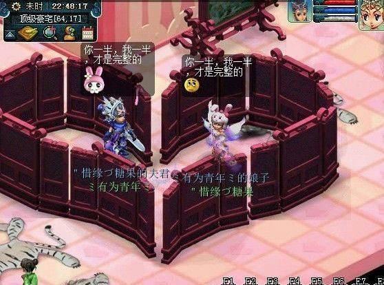 求偶游戏,动物世界中的爱情游戏揭秘