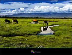 雄伟的圣诞节,共筑雄伟节日盛宴