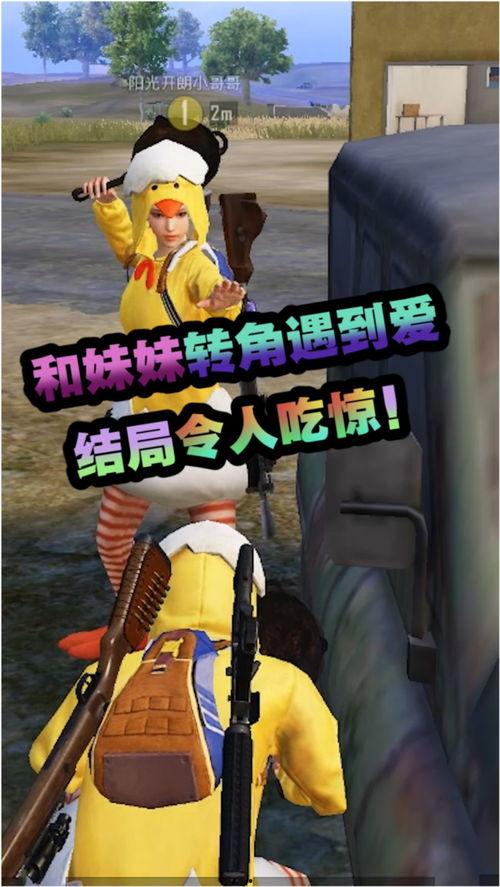 菜鸟遇到爱,一段奇妙的缘分之旅